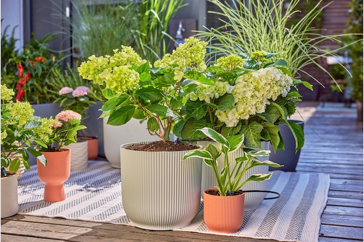 Productafbeelding Gardena Micro-Drip-System Set Terras (Set druppelirrigatie)