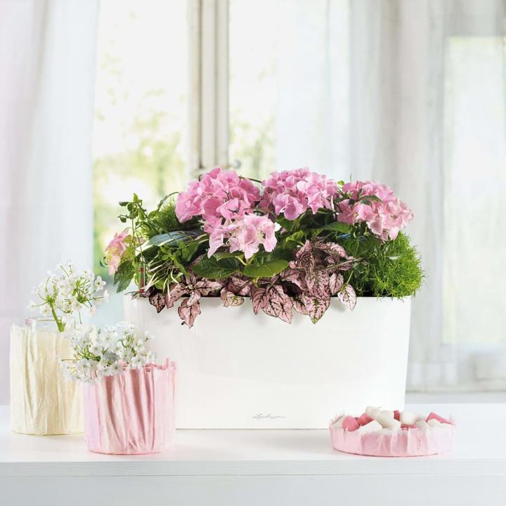 Produktbild Lechuza Delta (40 x 15 x 18 cm)