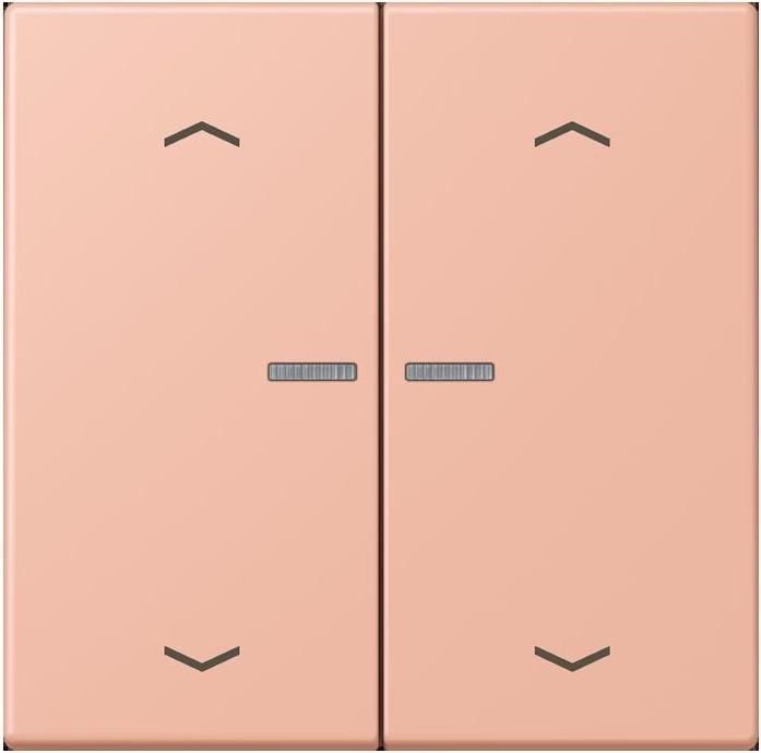 Actual product image JUNG Rocker