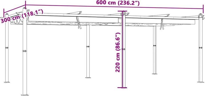Image du produit vidaXL Gartenpavillon (600 cm, 300 cm)