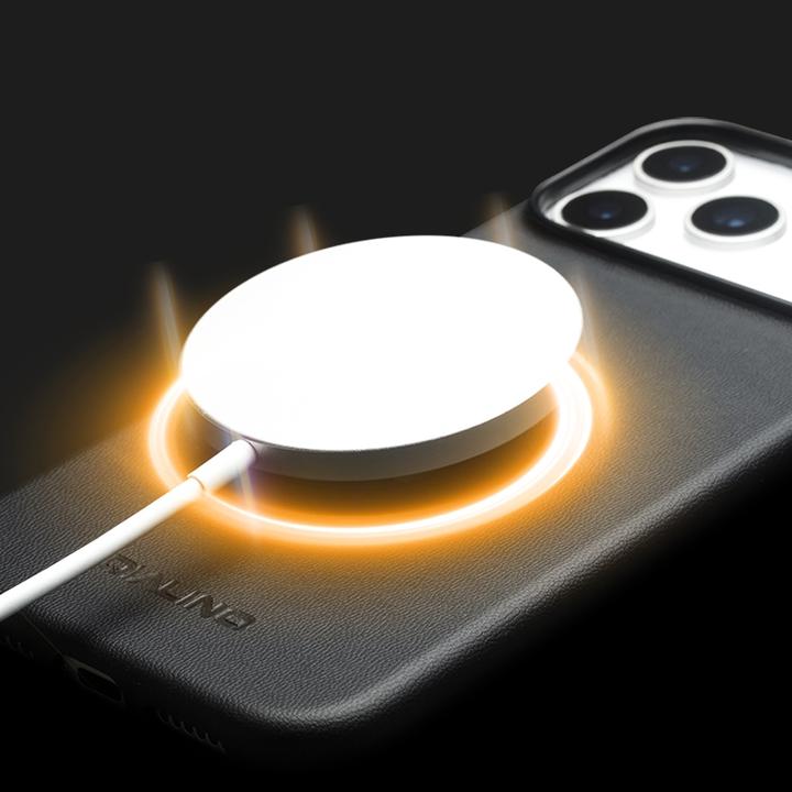 Actual product image QiAlino Hülle (Apple iPhone 17 Pro Max)
