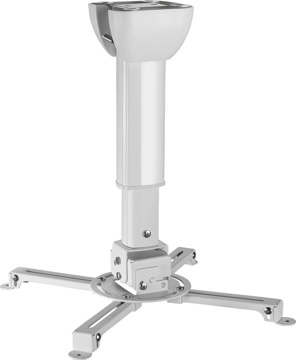 Celexon MultiCel 3040 Pro (Decke)
