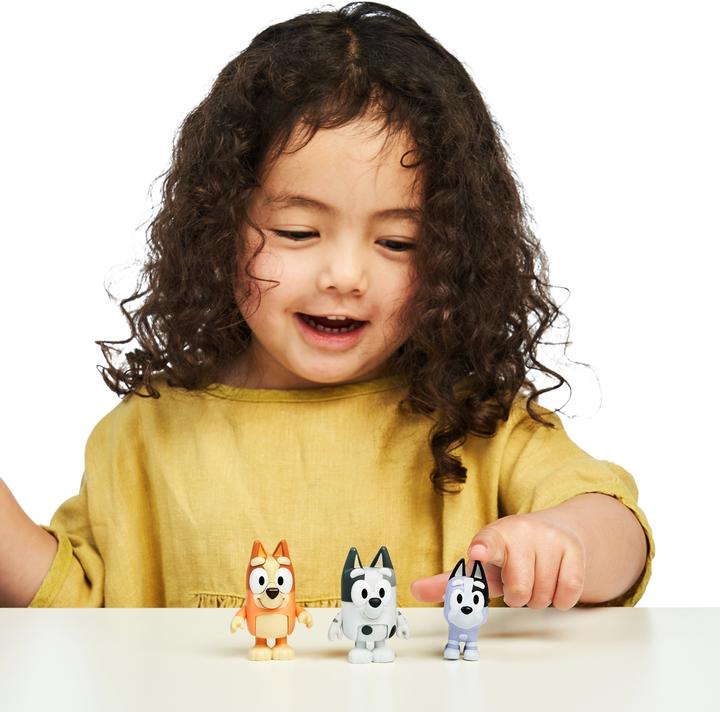 Actual product image Moose Bluey
