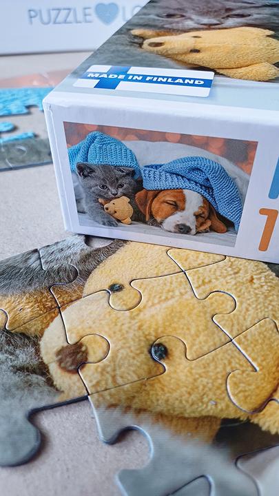 Actual product image Selecta Spielzeug Cute kitten and sleepy dog jigsaw puzzle, 100 pieces. (100 pieces)
