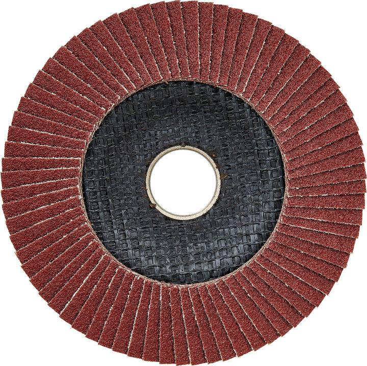 Werkzeugstore24 10x lamellar grinding wheel 125 mm curved aluminium oxide K 80 (80)