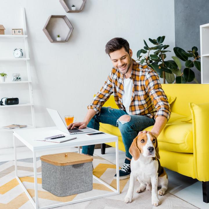 Actual product image Relaxdays Paper towel dispenser
