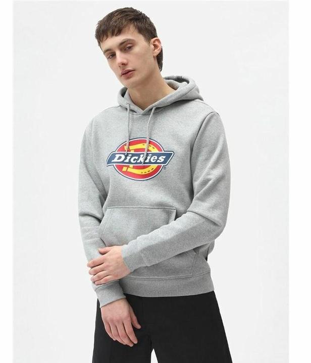 Actual product image Dickies Icon Logo Hoodie (L)