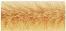Produktbild Rayher Chenilledraht, beige, 10 Stück (0.50 m)
