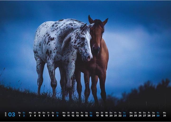 Actual product image Haas:Horse calendar 2025 Horse happiness! (A3)