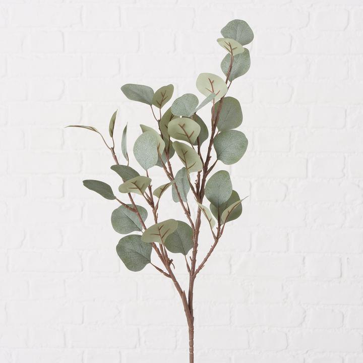 Produktbild Boltze Home Eukalyptus (69 cm)