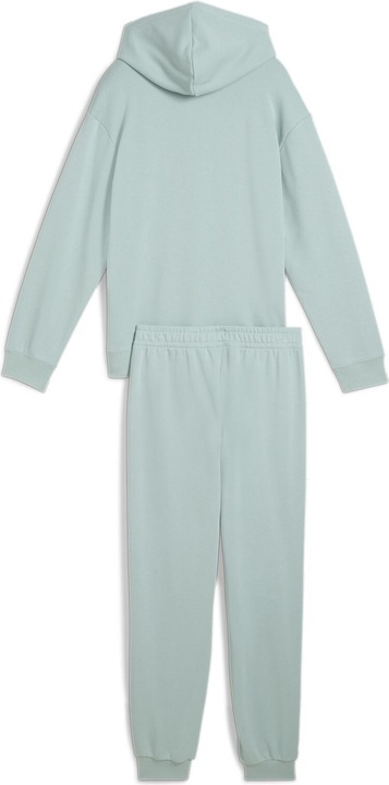 Actual product image Puma Loungewear Suit TR G (140)