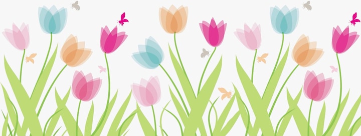 Immagine prodotto Heyda Immagini della finestra tulipani (1 x, 4 x 13,5 x 13 cm)