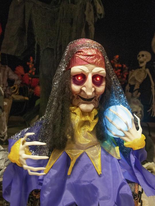 Actual product image Europalms Halloween figure fortune teller, animated 50cm
