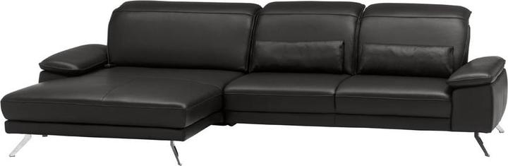 Cat. 100, Torro noir