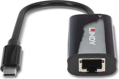 Actual product image Lindy USB 3.2 Gen 1 & DP 1.4 Type C Hybrid Cable (10 m, USB 3.2 Gen 1, 180 W)