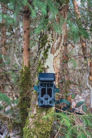 Produktbild Braun Photo Scouting Cam Black1320 Wifi Solar 4K DS