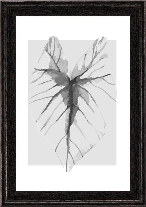 Image du produit Walther Design Cadre en bois Ilo (10 x 15 cm)