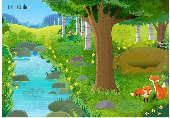 Produktbild Mein Immer-wieder-Stickerbuch: Im Wald