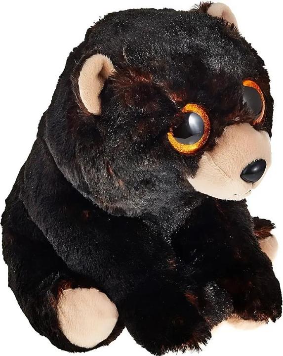 Actual product image Ty Beanie Buddy Kodi bear (24 cm)