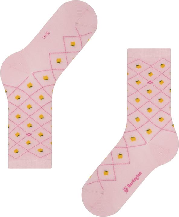 Immagine prodotto Burlington Lemon (36 - 41)