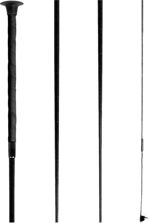 Waldhausen Schultheis touch whip