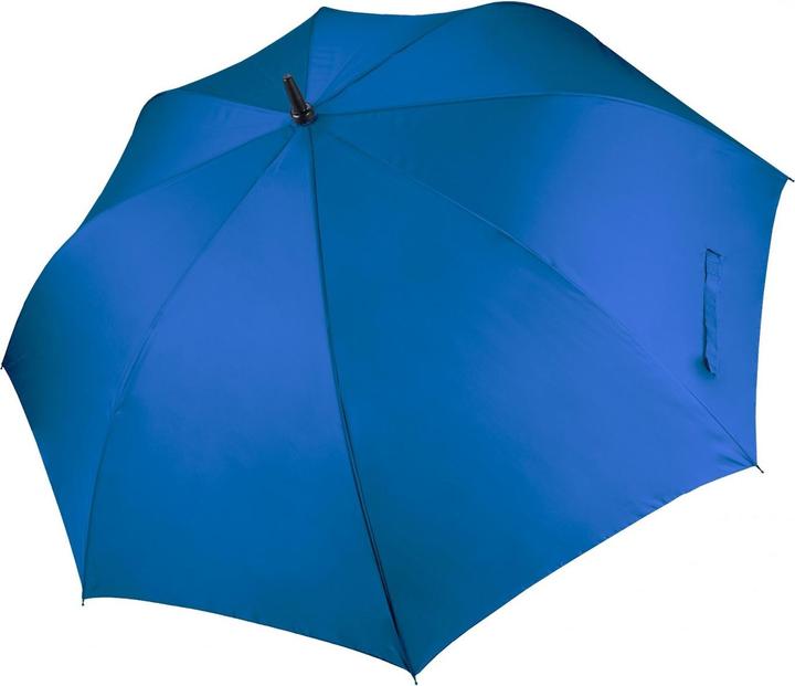 Bleu roi