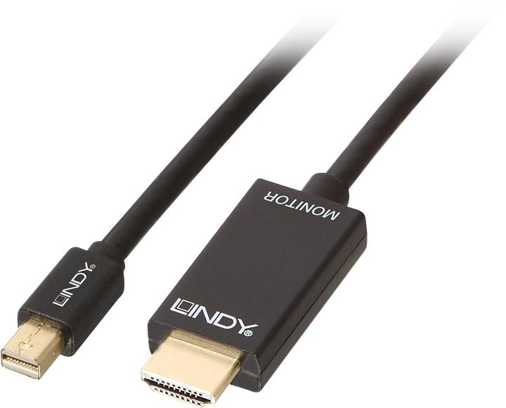Actual product image Lindy Mini DisplayPort (2 m)