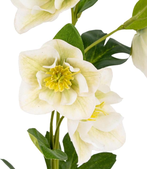 Immagine prodotto Hill Interiors Elleboro Fiore Artificiale (45 cm)