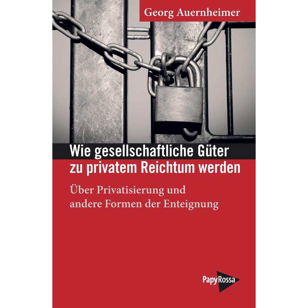 Wie gesellschaftliche Güter zu privatem Reichtum werden, Sachbücher von Georg Auernheimer