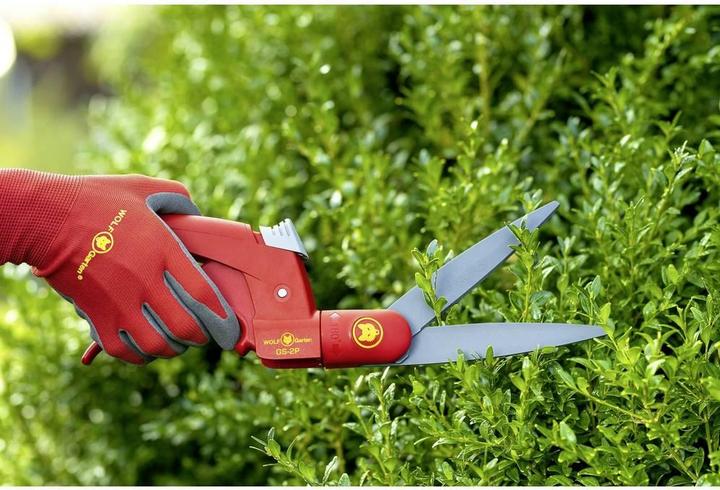 Immagine prodotto GCS Gs-2P Cesoie per erba Comfort