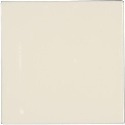 Actual product image JUNG Cover Blank cover LS 990, LS design, LS plus cream-white LS 994 B