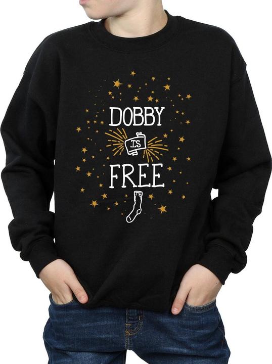 Produktbild Dobby Is Free Sweatshirt Jungen (128)