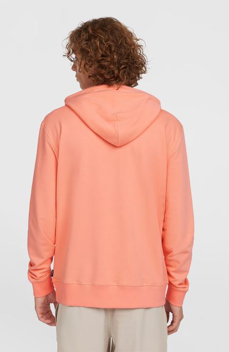 Actual product image O'Neill Logo Hoodie (S)