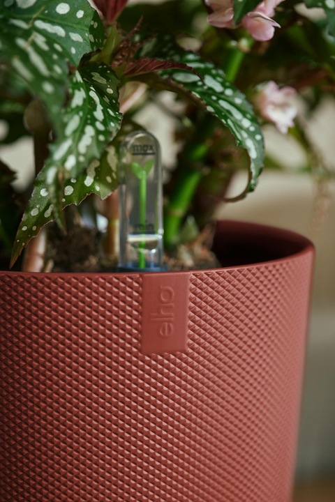 Actual product image Elho Jazz Round (23 cm)