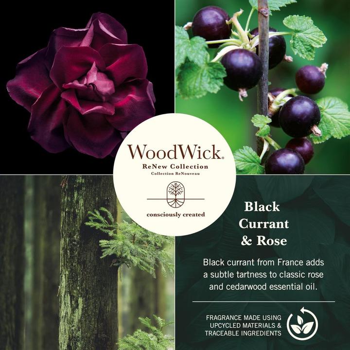 Produktbild WoodWick Black Currant & Rose (184 g)