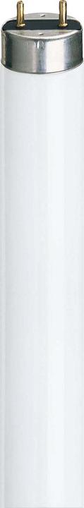 Immagine prodotto Philips Master TL-D Super (G13, 36.60 W, 3100 lm, 1 x, G)