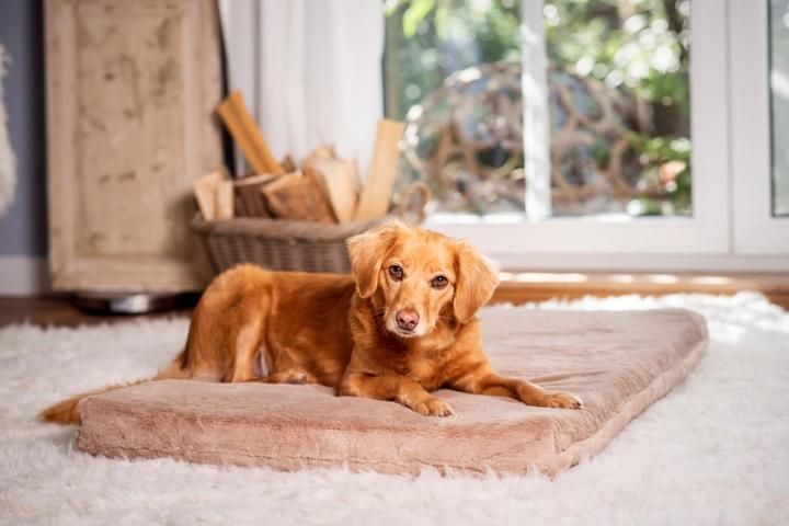 Produktbild Sabro Jokkmokk SilkTouch Hundeliegematte (Hund)