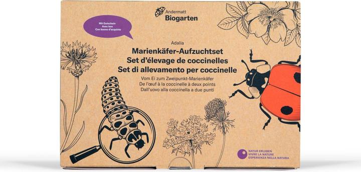 Produktbild Andermatt Marienkäferaufzuchtset Adalia Box mit Gutschein