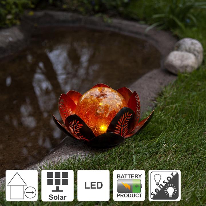 Image du produit Star Trading Solar Decoration Lilly (IP44)