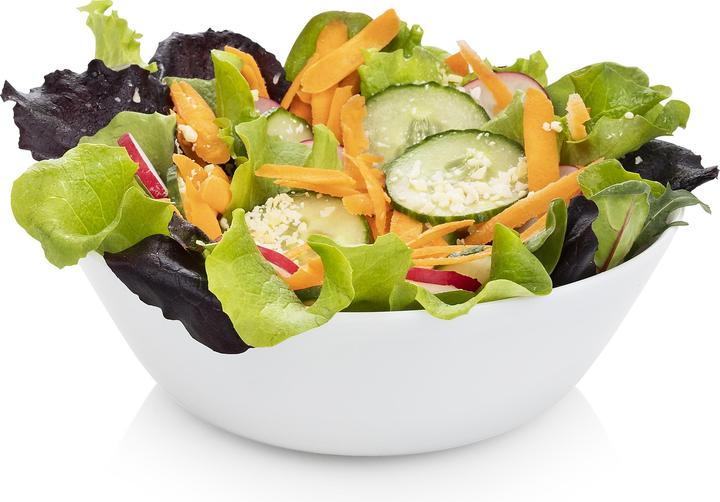 Actual product image Tristar Drum grater MX-4824