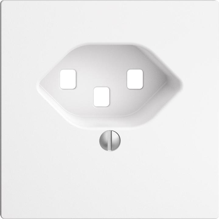 Produktbild Feller Frontplatte T23 ws 60x60mm