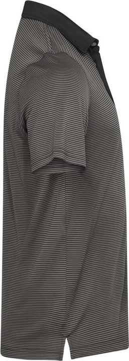 Produktbild Cutter & Buck Virtue Polo Stripes Men (L)