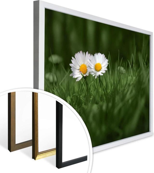 Produktbild Trenddeko Ben Heine - Zwei Gänseblümchen (60 x 50 cm)