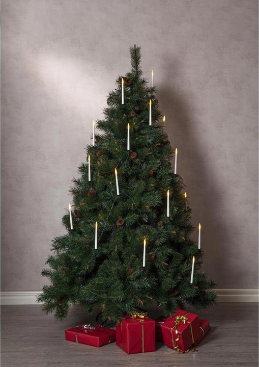 Produktbild Star Trading Toronto (180 cm)