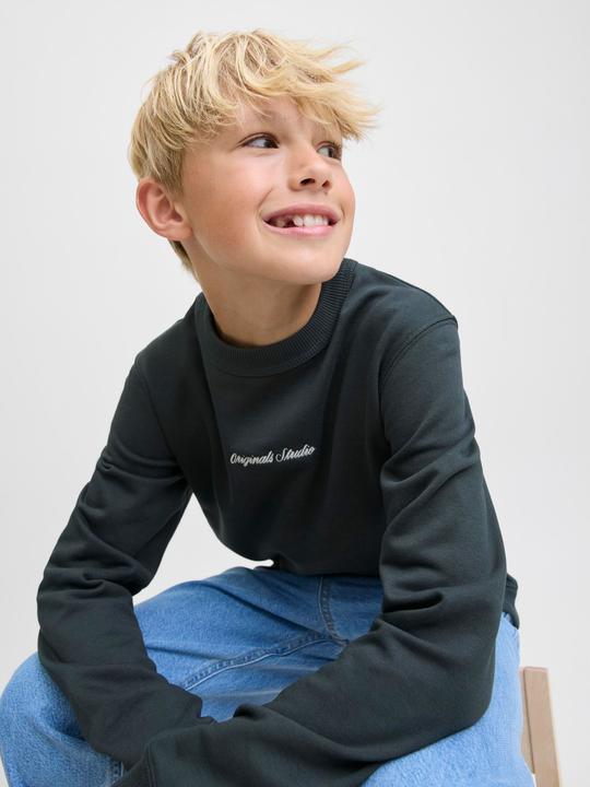 Produktbild Jack & Jones Jornorrebro Emb Sweat Crew Noos Jnr (128)