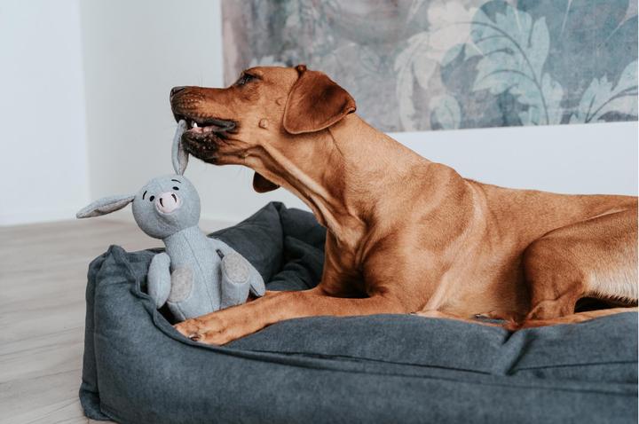 Immagine prodotto Hunter Legetøj Marle Gris 35 cm - (69897) (Gioco da masticare per cani)