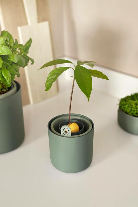Produktbild Elho Amazing Avocado Pot (120 x 12.10 cm)