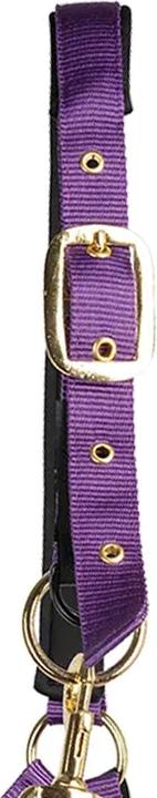 Produktbild Hy Pferdehalfter Fieldsafe