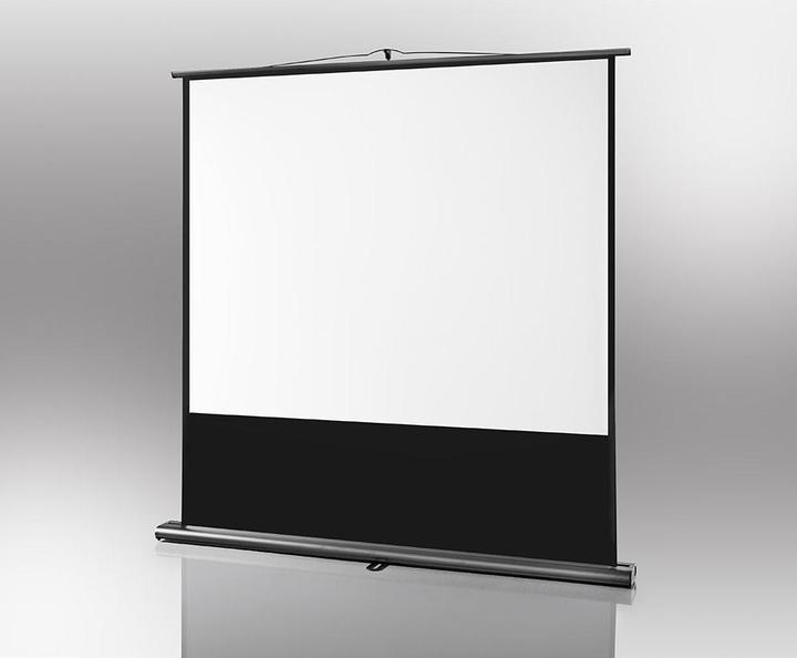 Actual product image Celexon Ultramobile Professional (57", 4:3)