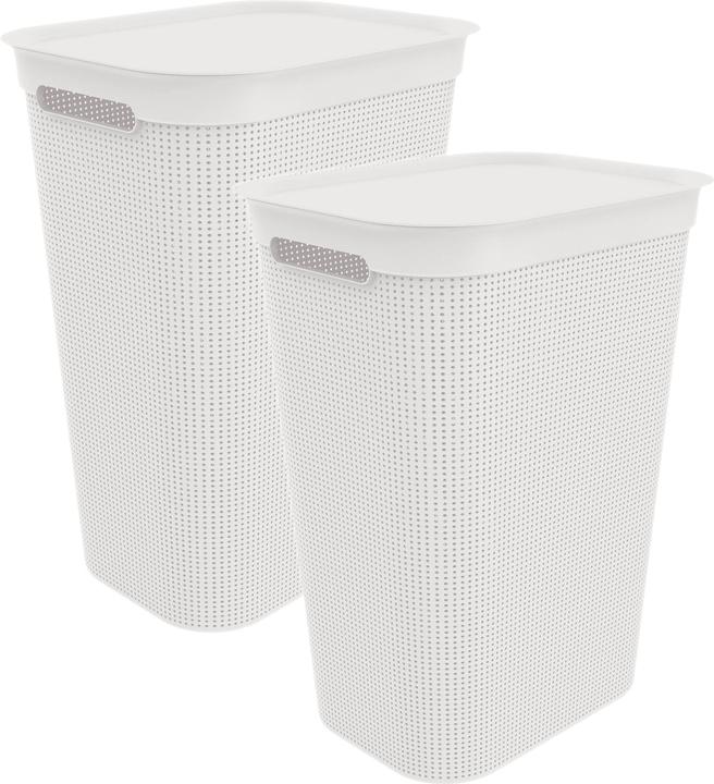 Immagine prodotto Rotho Brisen (50 l)